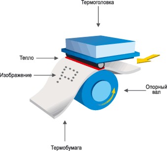 В чем разница между термотрансферным принтером и термопринтером и прямой термопечатью и термотрансферной печатью